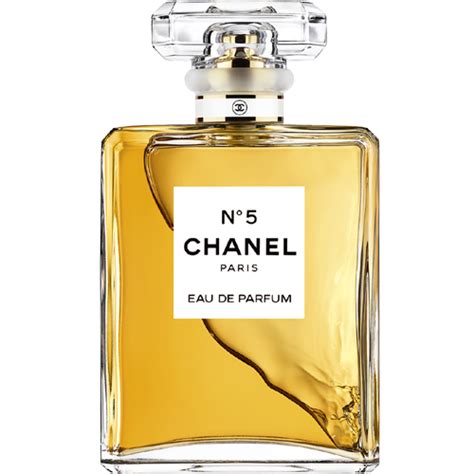 chanel most famous products
